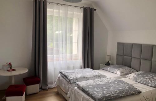 Duszniki Zdroj Apartment | Noclegi pod kasztanem