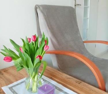 Lwowek Slaski Apartment | Noclegi, Słoneczne Mieszkanie we Lwówku Śląskim