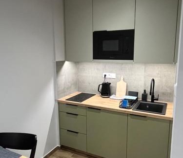 Goluchow House | Noclegi u Alicji- Apartamenty
