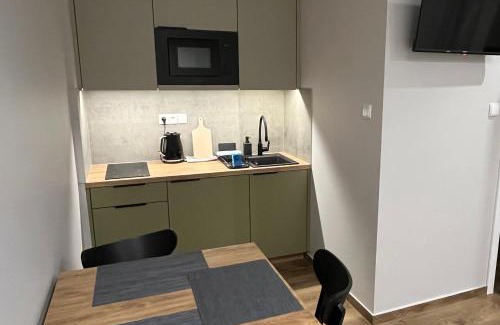 Goluchow House | Noclegi u Alicji- Apartamenty