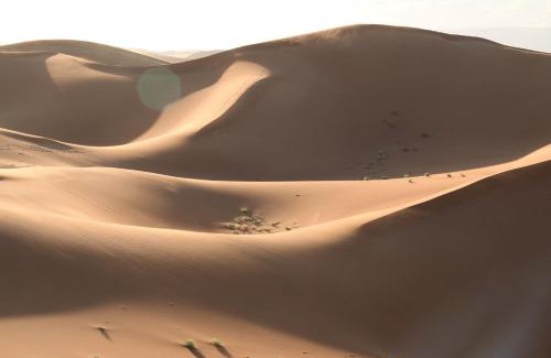 M'Hamid El Ghizlane Apartment | Nomadic Desert Lounge