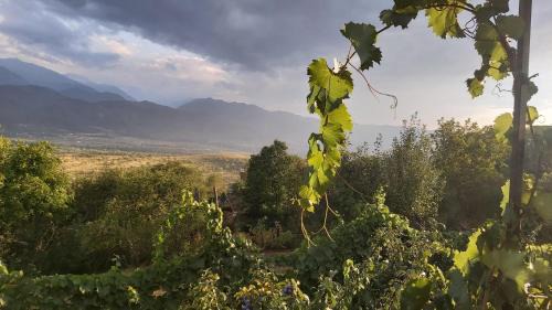 Tuzdybastau Other | Non Solo Pizza