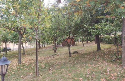 Civitella Casanova House | Nonno Pierino affittacamere