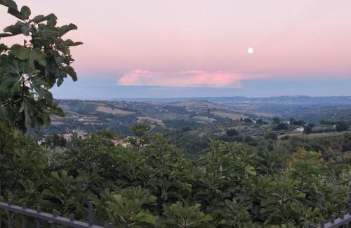 Civitella Casanova House | Nonno Pierino affittacamere