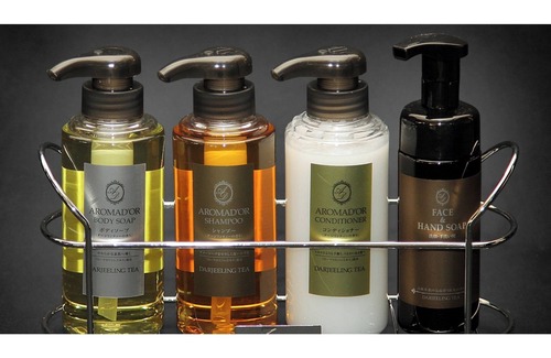 Okawa Hotel | Nonsmoking Deluxe Twin 2 people Room only /Okawa Fukuoka