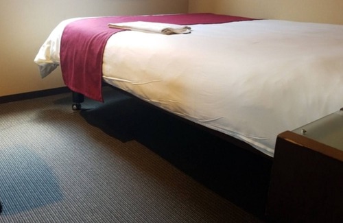 Okazaki Hotel | Nonsmoking single Free breakfast observation ba/Okazaki Aichi