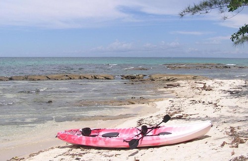 Kudat Resort | North Borneo Biostation Resort