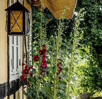 Majbolle House | Nostalgic Charm In A Yellow Timber House