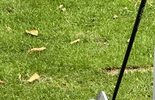 Pinarellu House | Not for rent