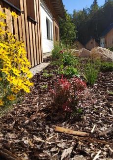 Smrzovka Apartment | Nový apartmán v klidu Jizerek