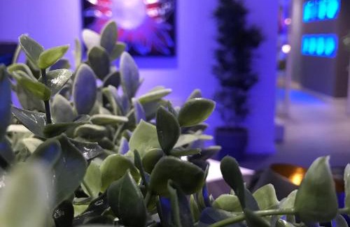 Reggio nell'Emilia Hotel | NovaHotel