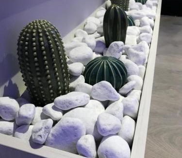 Reggio nell'Emilia Hotel | NovaHotel