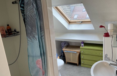 Sint-Gillis Apartment | Novisa Attic Apartment