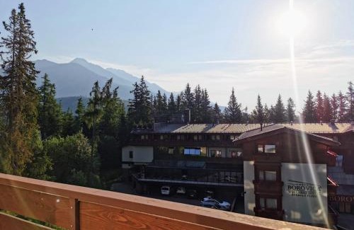 Strbske Pleso Apartment | Novozrekonstruovany apartman pri boroviciach
