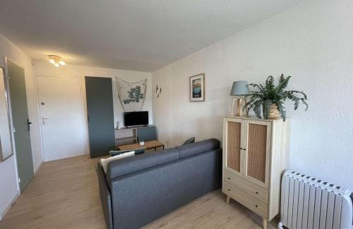 Narbonne-Plage Apartment | NP190-C330 Appartement 2 pièces, Narbonne Plage
