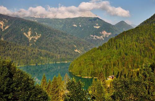 Sauris Apartment | NS SUITE SAURIS