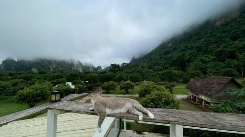 Lan Sak Resort | NUBDAO 168 Homestay