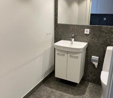 Vaxjo Apartment | Nuevo Aurora Luxe Apartment Växjö Near Vida Arena