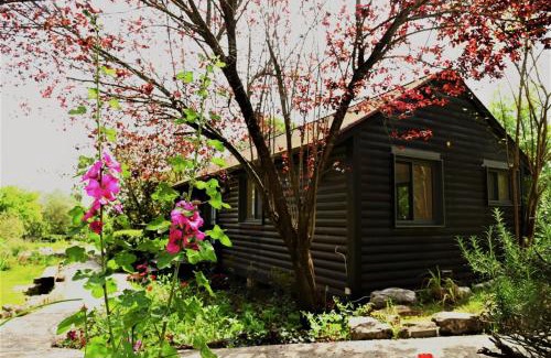 Yokneam House | Numa Emek-Countryside Guesthouse in Yokneam Moshava