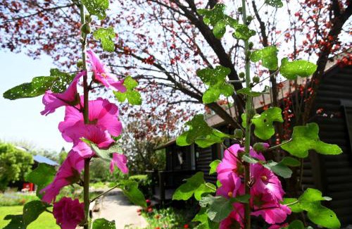 Yokneam House | Numa Emek-Countryside Guesthouse in Yokneam Moshava