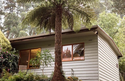 Monbulk House | Nurture Creek