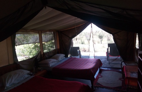 Nairobi Cabin | Nyumbu Camp|Masai Mara Safari Tents Accommodation
