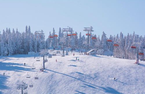 Zieleniec Resort | Ośrodek Pegaz