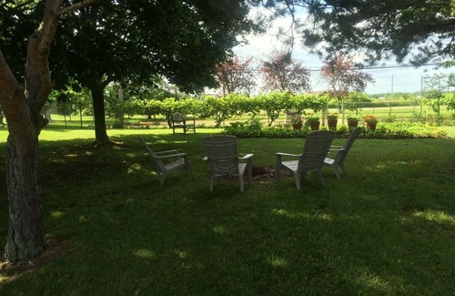 Louth Cottage | Oak Lane Cottage, Country Setting on Wine Route, Easy Access to NOTL