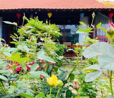 Tam Ky House | OBI Homestay