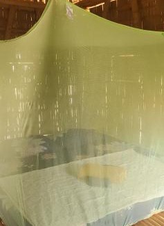 Tboung Khmum Apartment | OBT - The Banana Bungalow