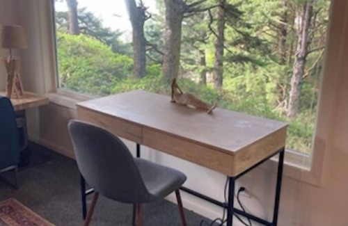 Agate Beach Apartment | Ocean View Studio in Agate Beach