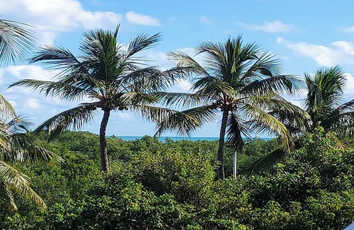 Key Largo Condo | Oceanfront Community, Luxury,Beach,Pools, TOP AMENITIES & VALUE in FLORIDA KEYS