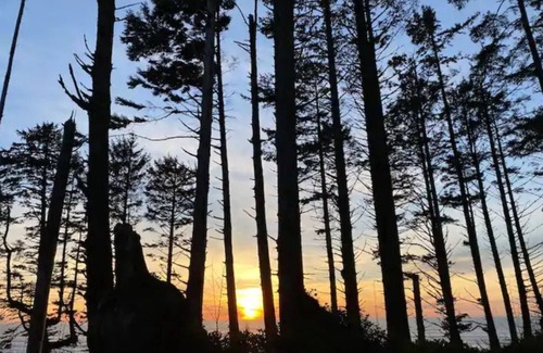Jefferson County Cabin | Oceanfront Olympic Cabin— Secluded & Vast (2BR)