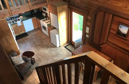 Jefferson County Cabin | Oceanfront Olympic Cabin— Secluded & Vast (2BR)