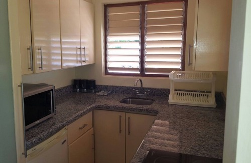 River Oaks Apartment | Ocho Rios Cinnamon Villas