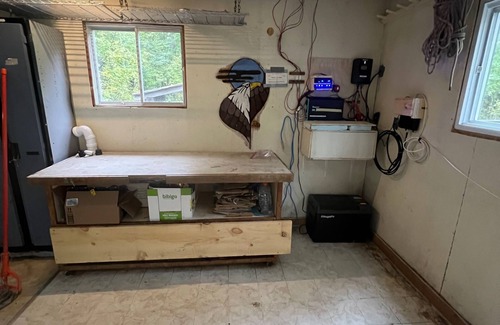 Unorganized North East Parry Sound Cabin | Off-Grid Forest Cabin on Beautiful Lake in Almaguin Highlands