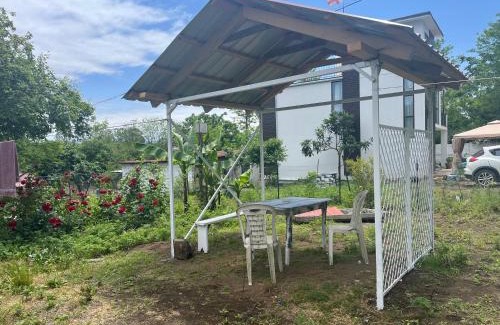 Shekhvetili House | OK Sahli