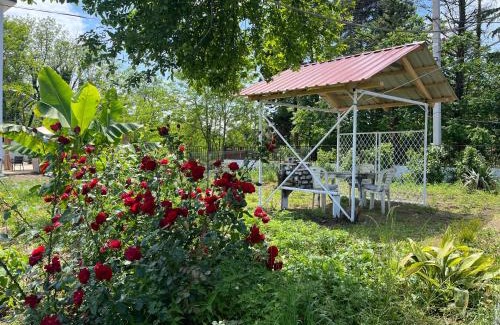 Shekhvetili House | OK Sahli