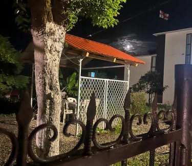 Shekhvetili House | OK Sahli