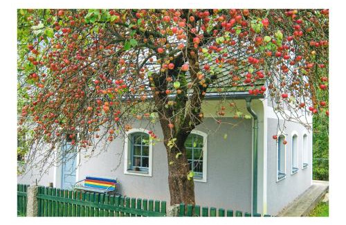 Oldrichov v Hajich Villa | Oldřichov 125