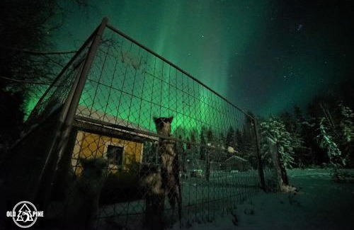 Keminmaa Resort | Old Pine Husky Lodge