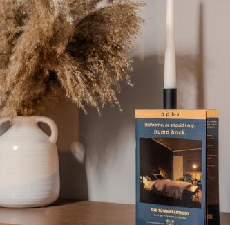 Craiova Apartment | Old Town by Humpback