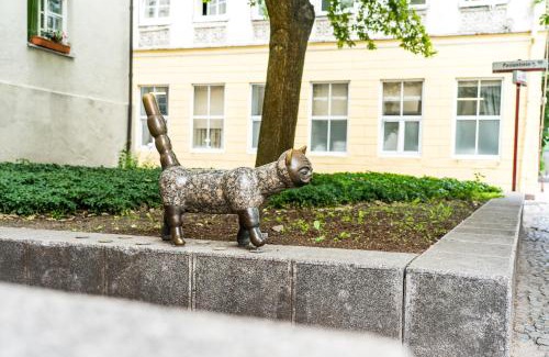 Old Town Apartment | Old Town Cat Apartment