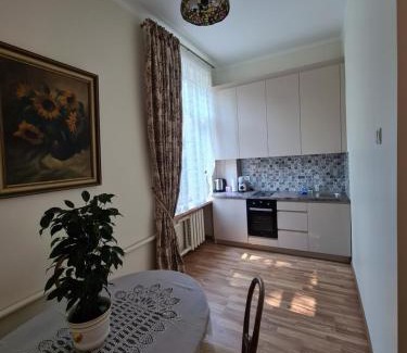 Old Town Apartment | Old Town Cat Apartment