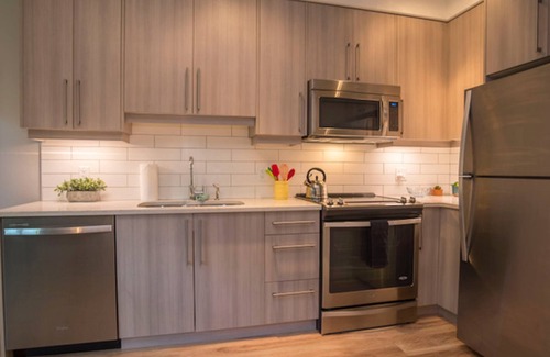Inner Harbour Apartment | Old Town Open-Plan with High Ceilings and Original Artwork
