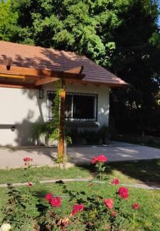 Chacras de Coria House | Old Willow