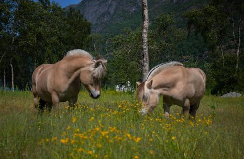 Jostedal Other | Olden Glamping - One with nature