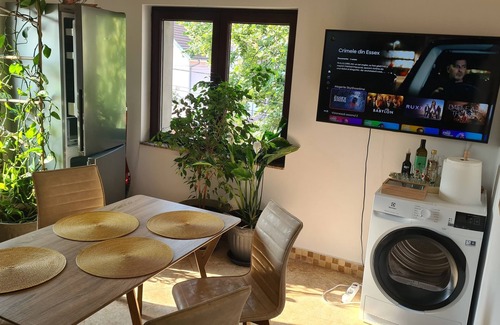 Timisoara Villa | Ole Apartment 120 SQM - Aut. Ministry of Tourism - Spacious and Serene Space