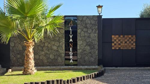 Bajo Lunlunta Villa | OlivaNegra Resort - Oliva2