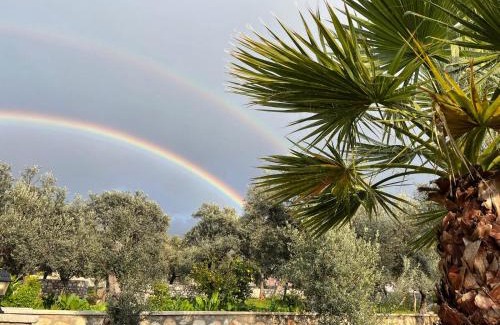 Kas Villa | Olive Branch Resort